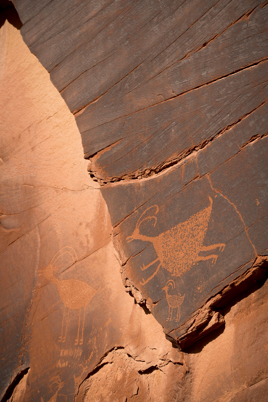 petroglyphs